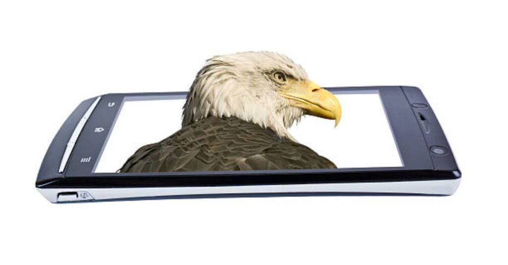 Emira Eagle